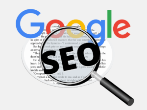 professional search engine optimisation